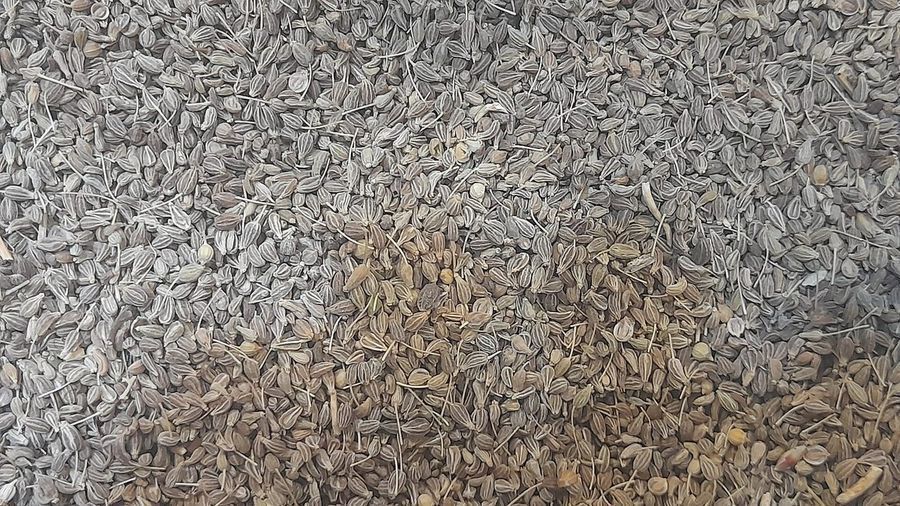 anise