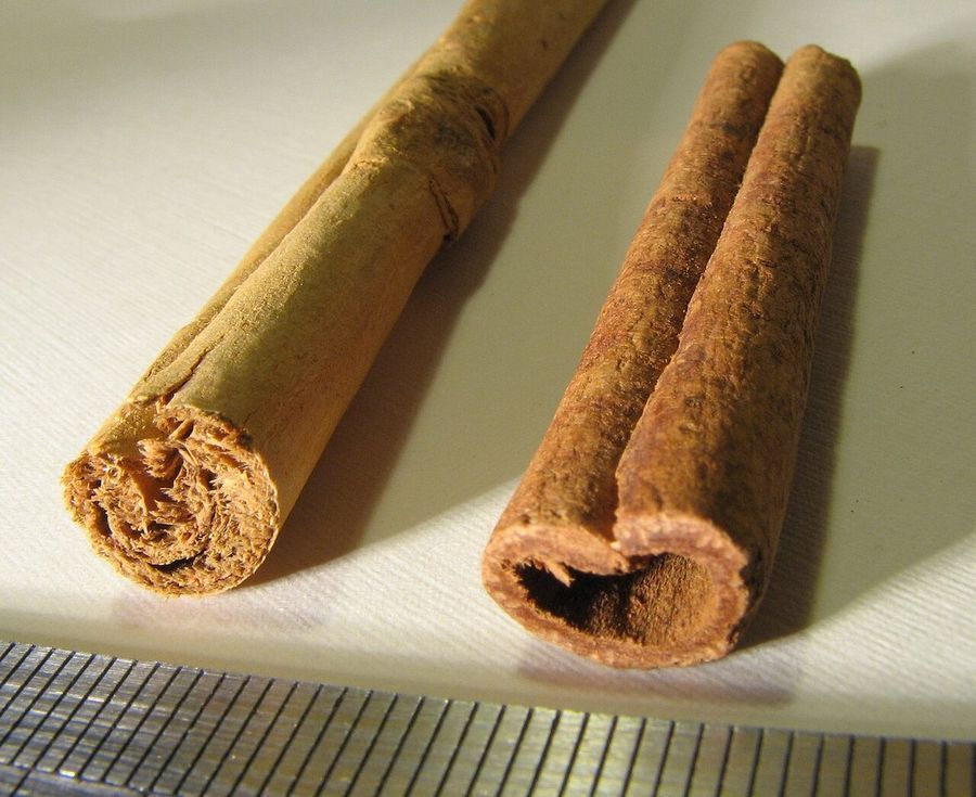 cinnamon comparison