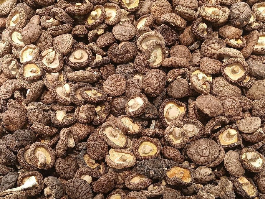 dried-shiitake