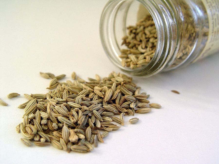 fennel-seed