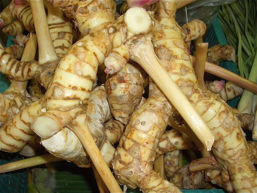 galangal