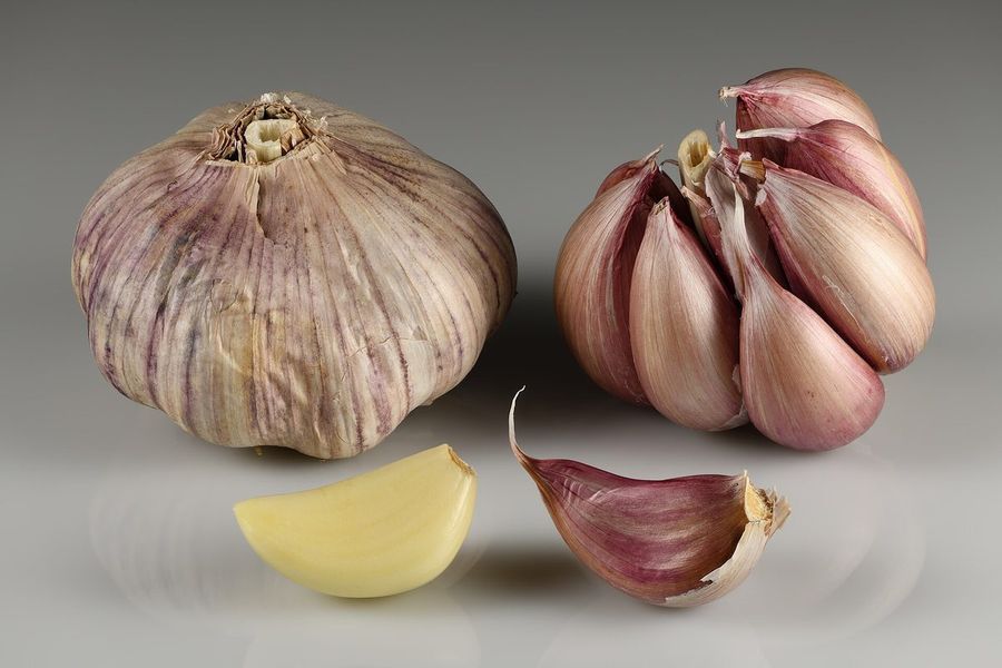 garlic