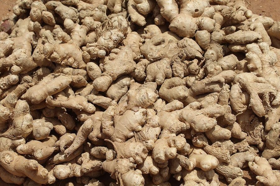 ginger