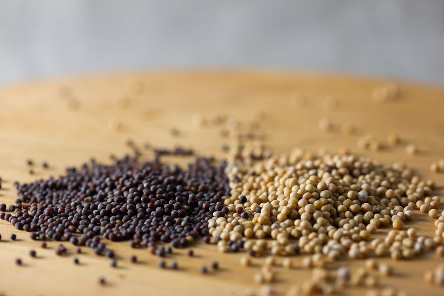 mustard-seed