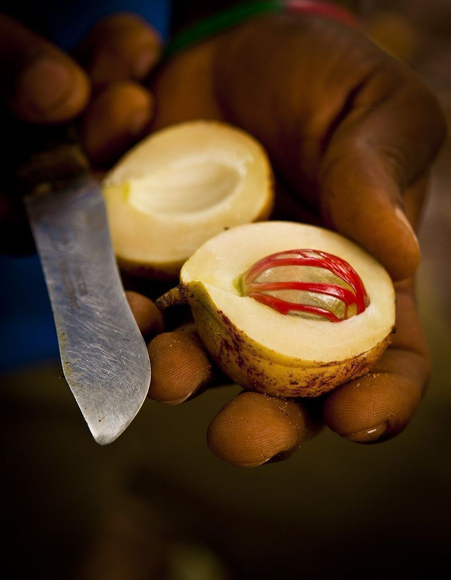 nutmeg