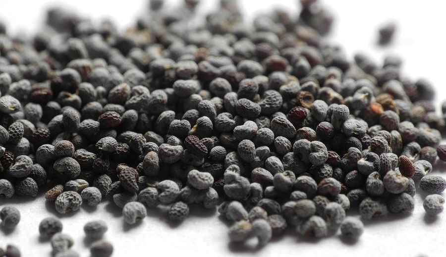 poppy-seed