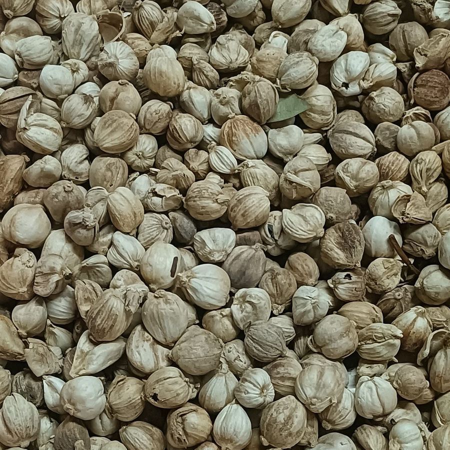 thai-cardamom