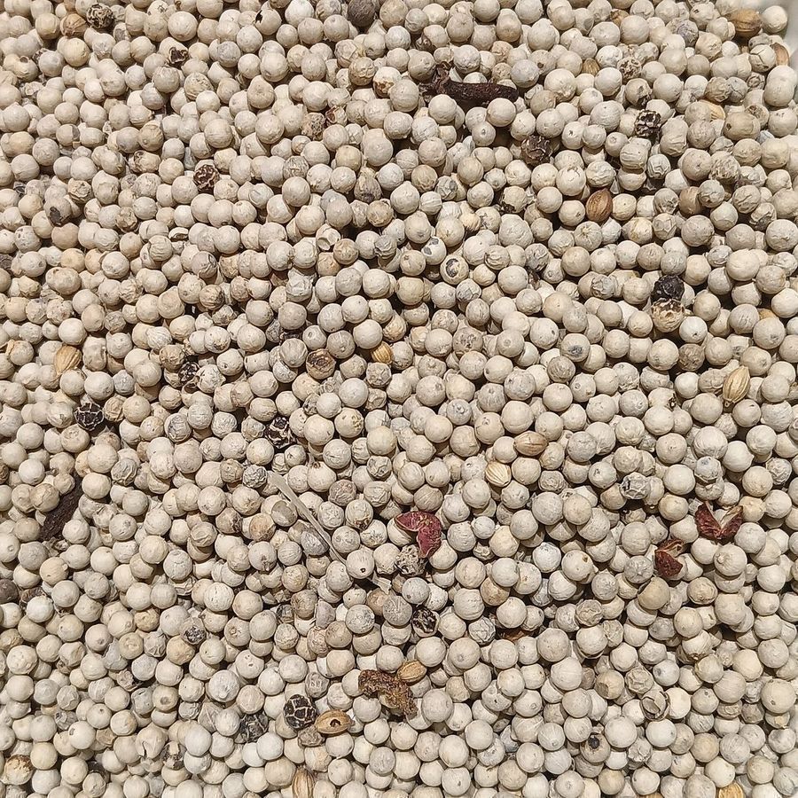 white-pepper